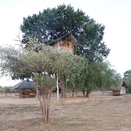 Yala Dream Park Hotel Buitenkant foto