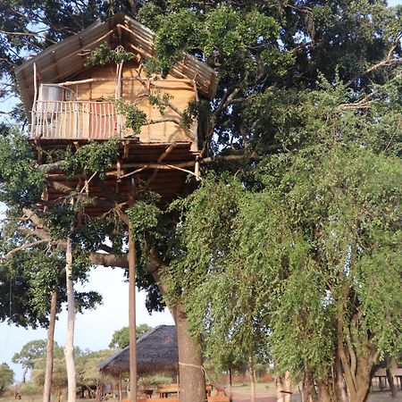 Yala Dream Park Hotel Buitenkant foto