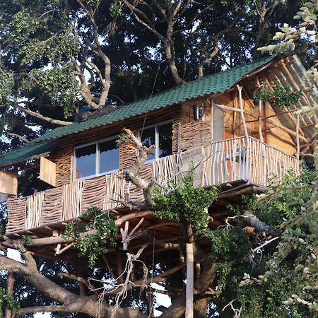 Yala Dream Park Hotel Buitenkant foto