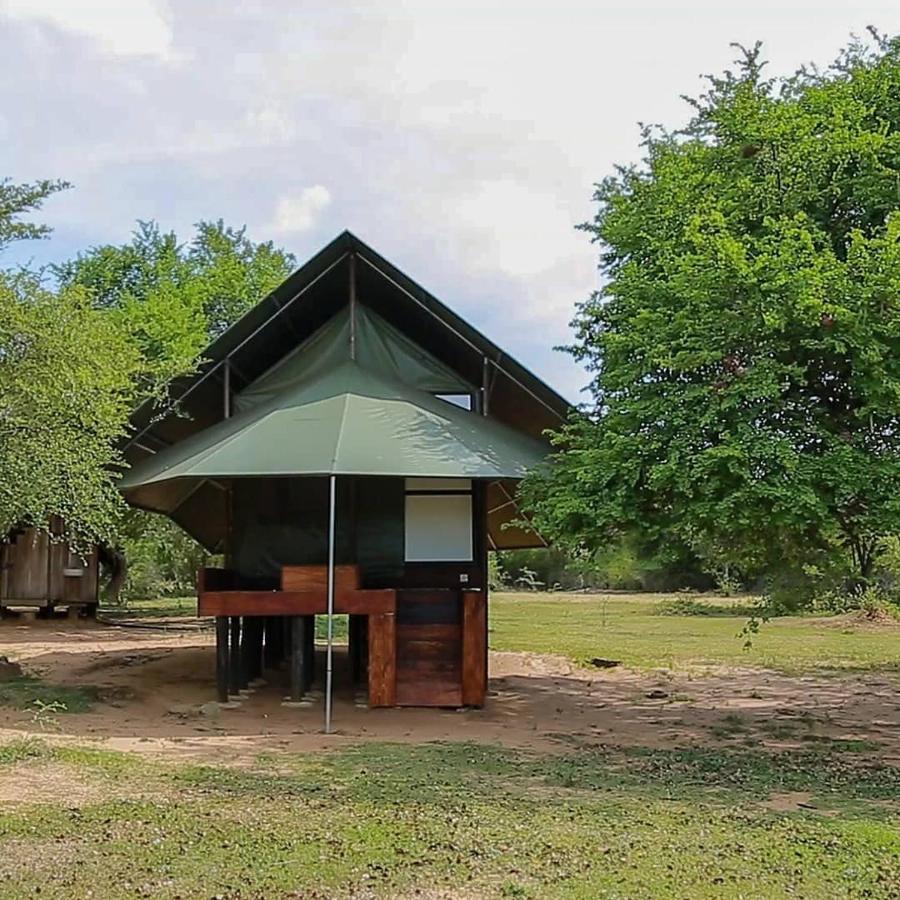 Yala Dream Park Hotel Buitenkant foto