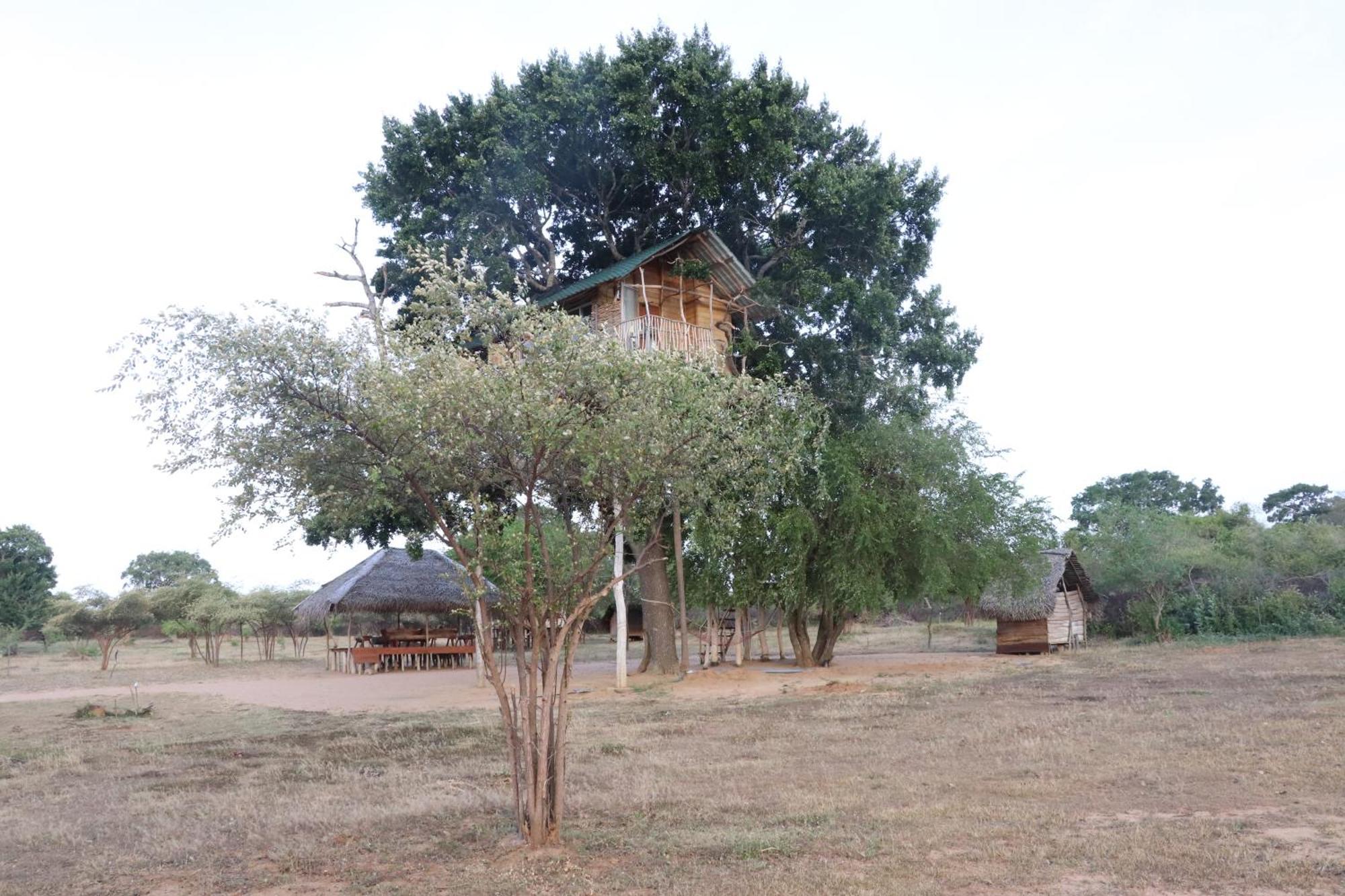 Yala Dream Park Hotel Buitenkant foto