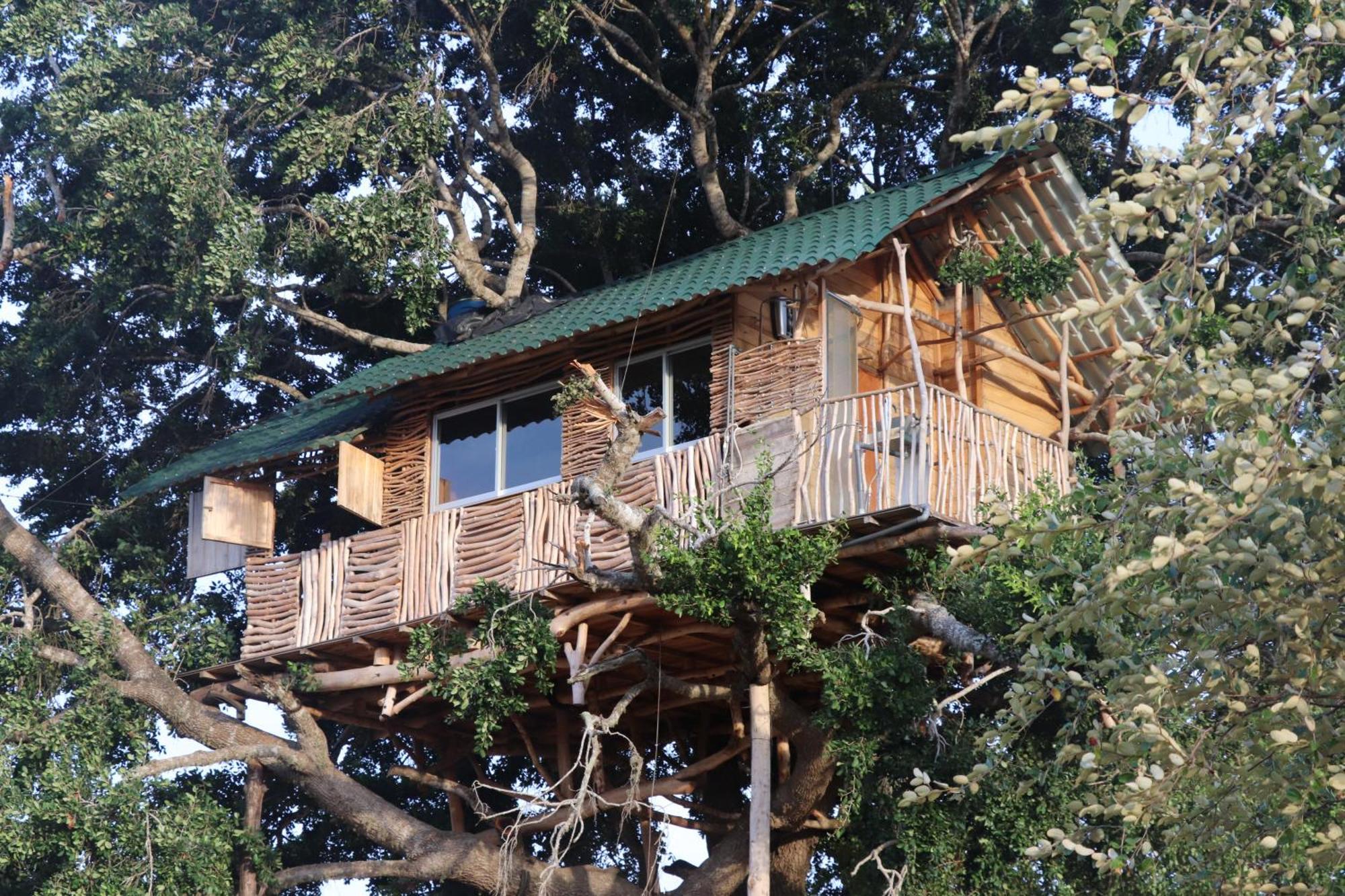 Yala Dream Park Hotel Buitenkant foto