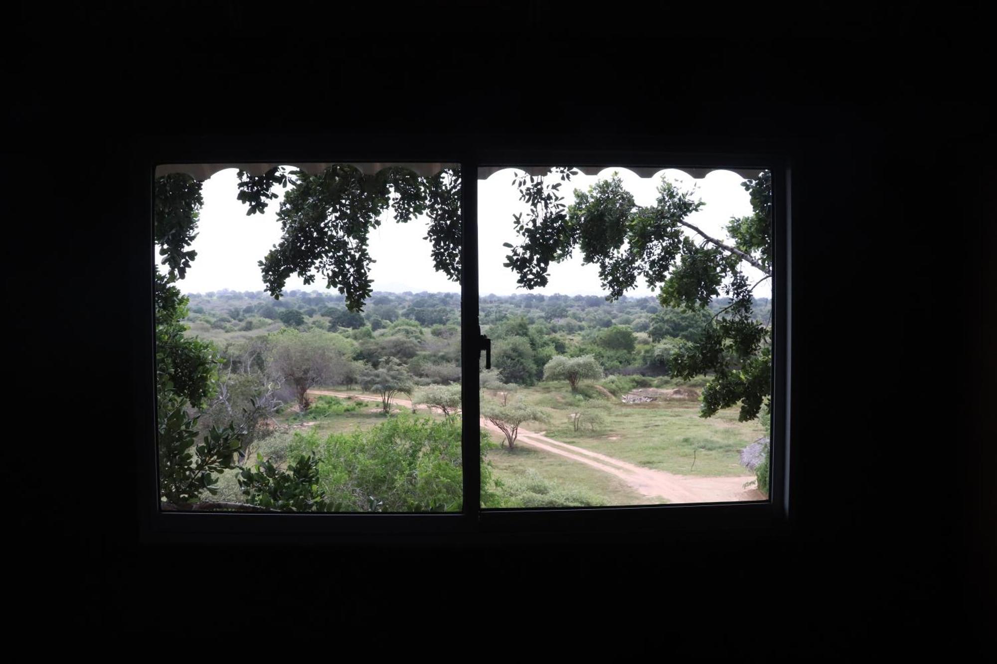 Yala Dream Park Hotel Buitenkant foto