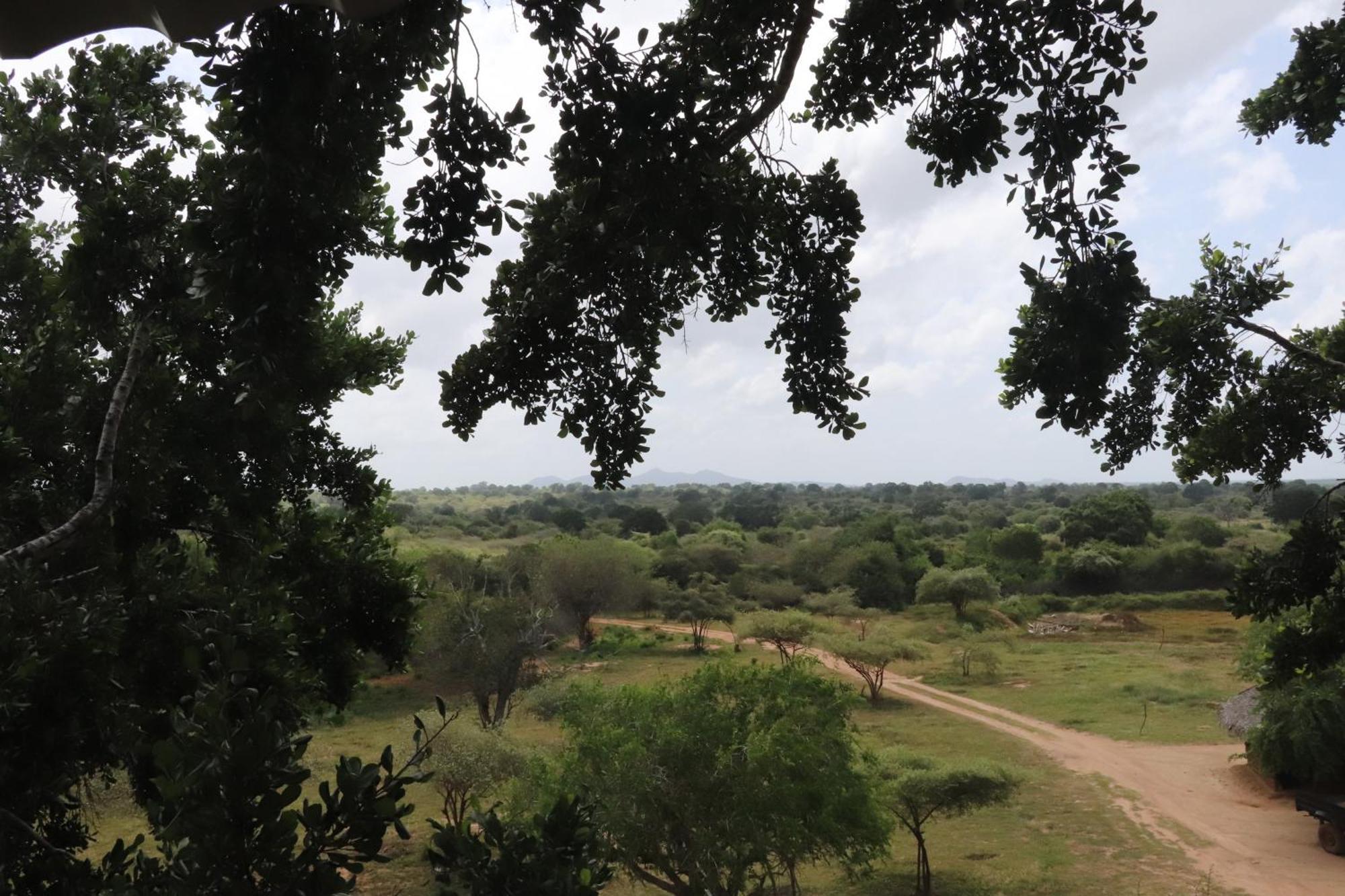Yala Dream Park Hotel Buitenkant foto