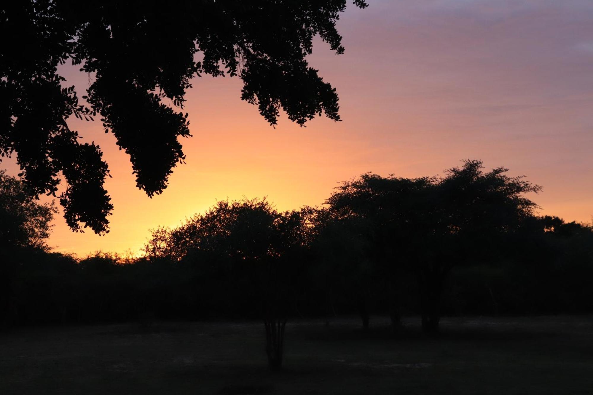 Yala Dream Park Hotel Buitenkant foto