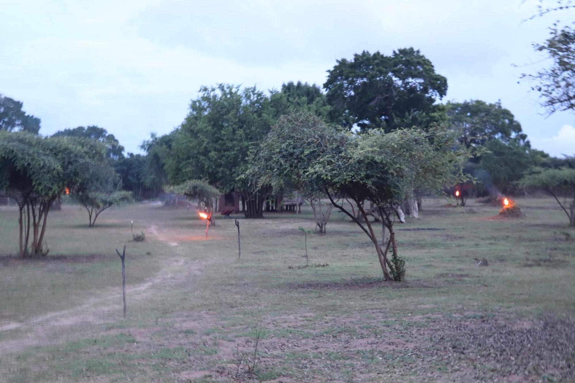 Yala Dream Park Hotel Buitenkant foto