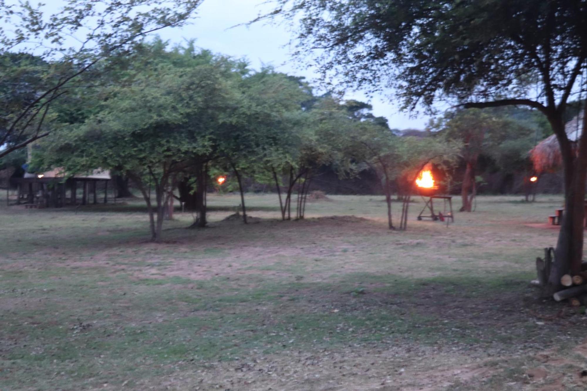 Yala Dream Park Hotel Buitenkant foto