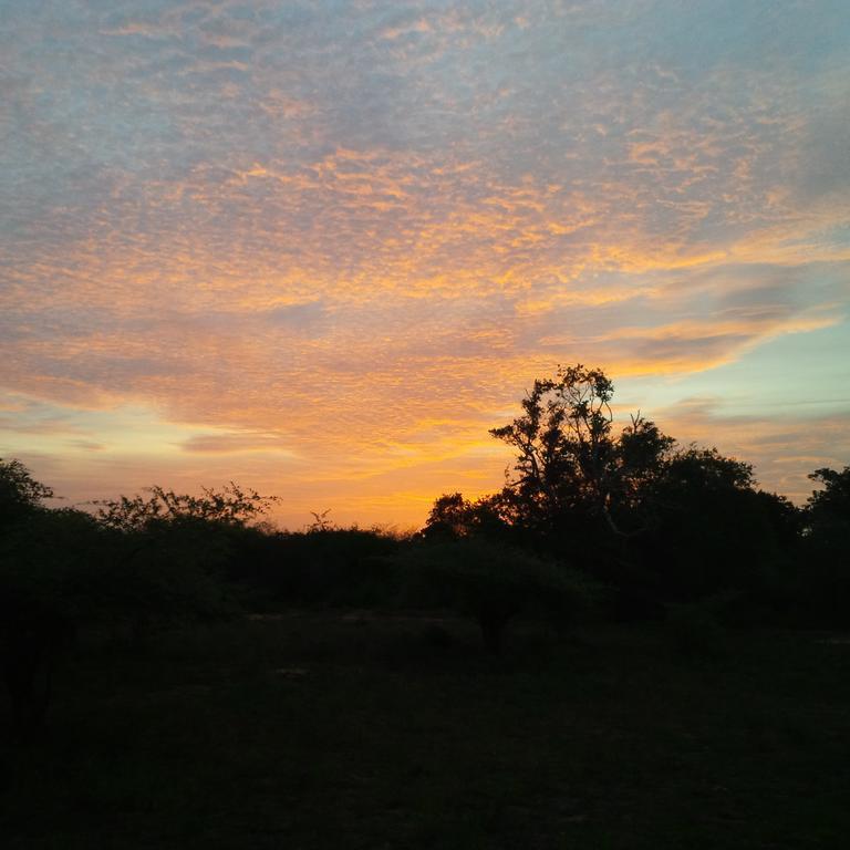 Yala Dream Park Hotel Buitenkant foto