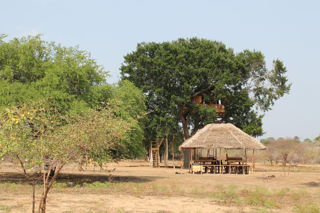 Yala Dream Park Hotel Buitenkant foto