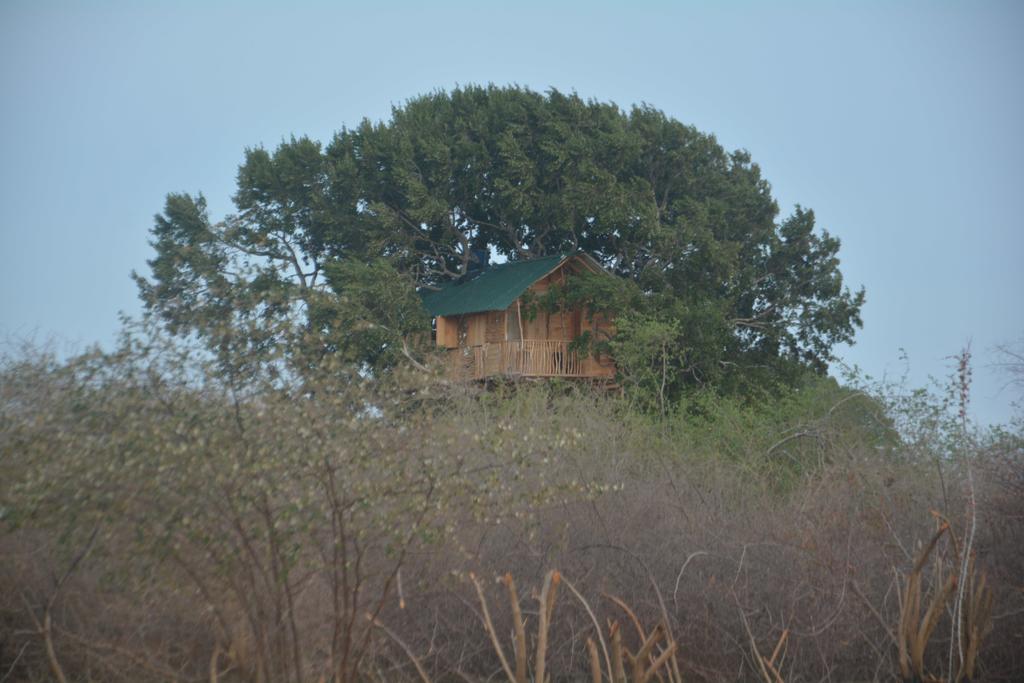 Yala Dream Park Hotel Buitenkant foto