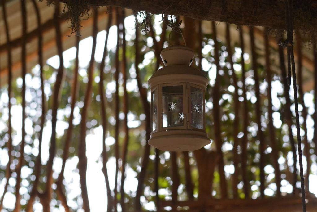 Yala Dream Park Hotel Buitenkant foto