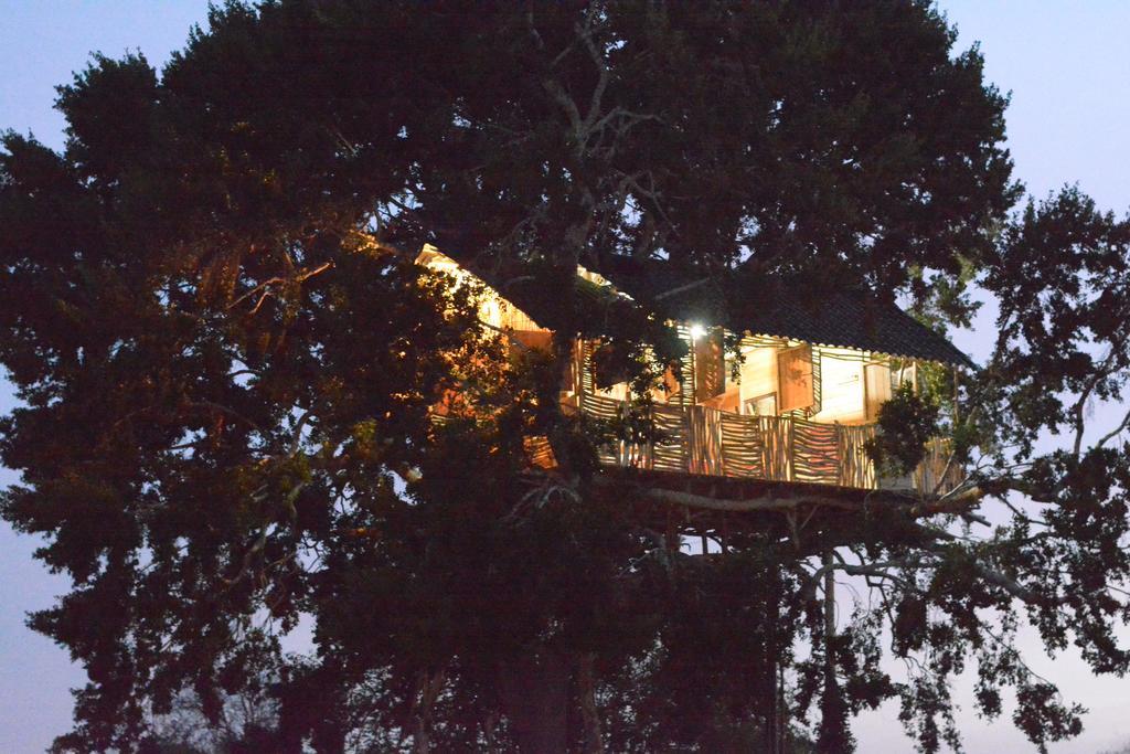 Yala Dream Park Hotel Buitenkant foto