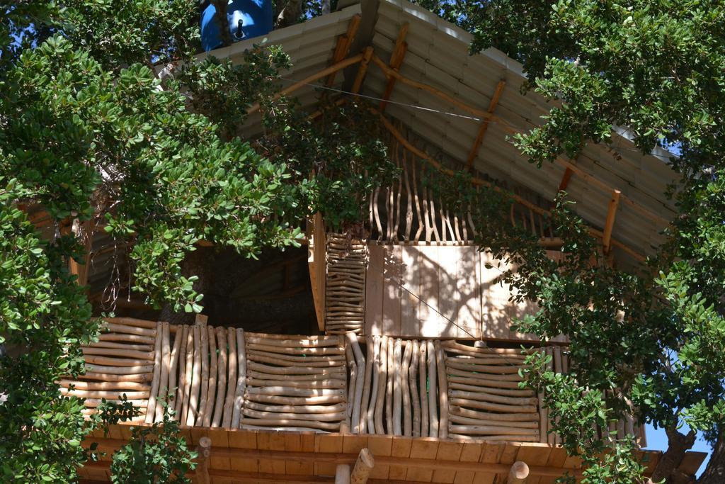 Yala Dream Park Hotel Buitenkant foto