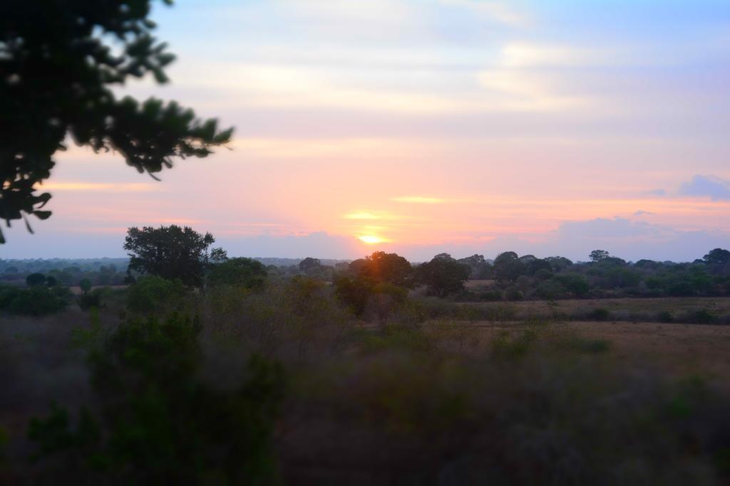 Yala Dream Park Hotel Buitenkant foto