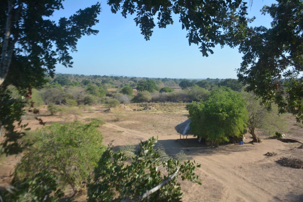 Yala Dream Park Hotel Buitenkant foto