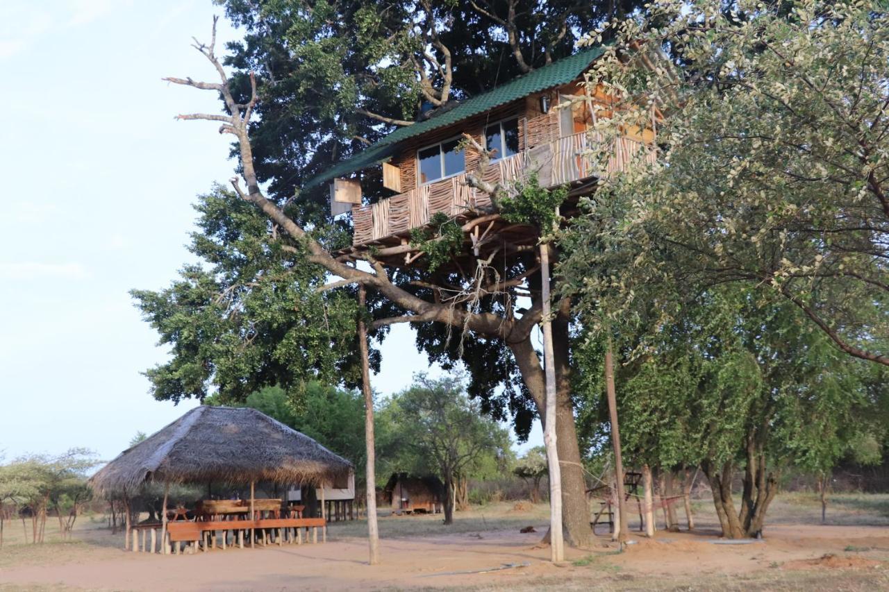 Yala Dream Park Hotel Buitenkant foto