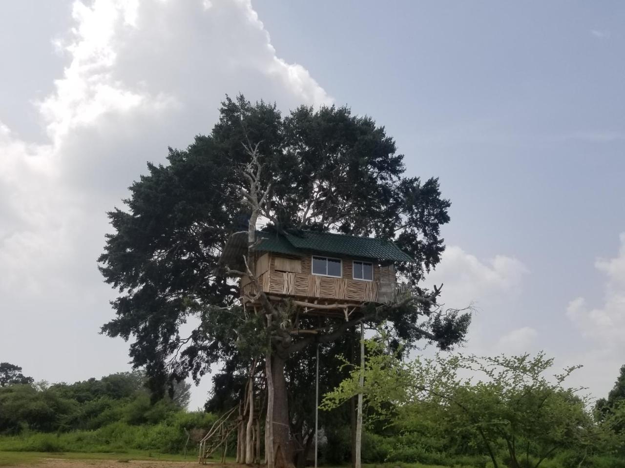 Yala Dream Park Hotel Buitenkant foto
